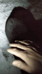 bed5de66-9351-4030-9ae4-95f9d20daf73