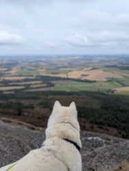 5a1f87d3-a4cb-484a-9793-8f28ef625ade