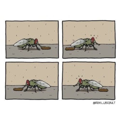 df8d8313-f83a-46d7-94ea-db1fc1d1a113