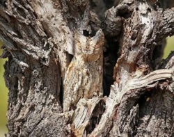 fc94d6d1-f9af-409e-9bbb-076af239232e