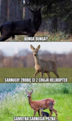 87970569-0f0f-4b72-b2d1-d0378bf37d72