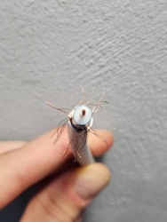 cab281ed-ade4-4b15-90a2-aa2b36648cc7