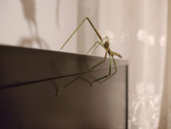 47aa23c4-0bea-4016-9d78-f082f11bd512