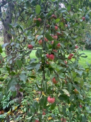 61fb7cfe-769c-41f2-b87a-8fa583358377