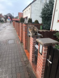 b4a0aaeb-b7ee-4993-bf3b-03e3cac7a78a