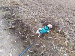 980ece56-7c99-4b62-a563-c76c0b2274bf