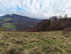 8298ef44-c8a4-48aa-a25d-2d0c6af53d04