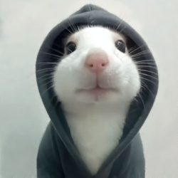 8b573fc5-be06-44d7-8727-0f1301bdc38c