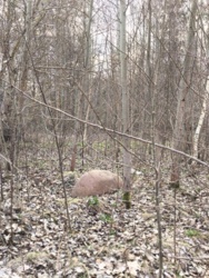 65ca57a8-d581-4a7d-9073-6174b195e0f5