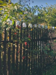 4096aea5-8f81-46bb-84ee-1476c1c6bf27