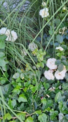 a445d113-8991-4dc8-83e3-9bfa11fdcea3