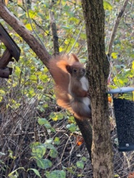 96817ce8-bcdf-4613-89e7-66d729a26b69