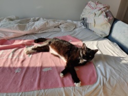 c366a508-b17a-4458-9c67-0f5f869795d2