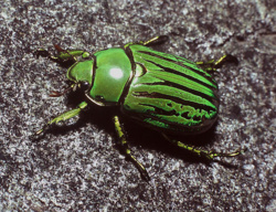 ba7b976c-6dd1-494d-b2fc-92e36a3708c4