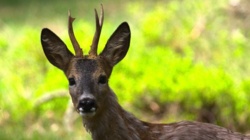 4b34102f-de9e-4327-9539-0da09bd8e748