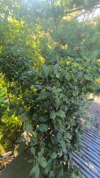 cf699d1f-5b68-4c34-8967-f2366c0d02bb