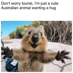 6a9dccb6-216c-4273-8641-0997ec123ad4