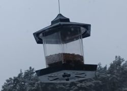 8e13ccf2-2d86-40d6-a88e-413bebf7426d