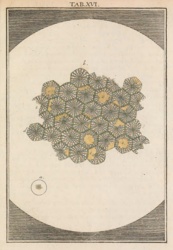 b5eb3d2e-f553-4429-af26-84d27391c74e