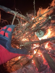 c3e0a8d8-283e-4edf-8fad-24bea6743a2b