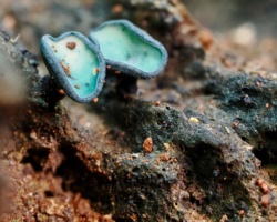 5d315301-f731-480e-95e9-078e8ad15180