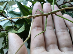 79d48be6-8827-445b-a1da-f4645ef6c9e6