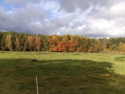 e4a0a477-92ae-4288-858e-b2ee1c7563d9