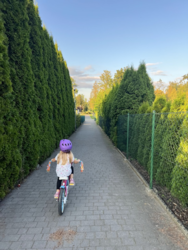 8e5dbf63-adbf-4dcb-af64-02122929318a