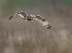 b58282a9-b1d1-41b1-be0d-c9e9d9532016