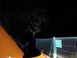 e58ace53-4e0c-4941-a157-ab48c11da52b