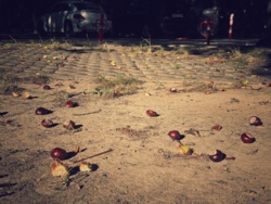 9425d2cd-8c6c-4f09-9a4d-85fdb3033c66