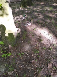 b878fe41-c3a6-4872-aac8-8a0dba61a7ee