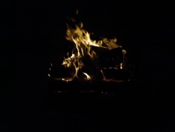 e8754c65-e5b1-4568-99b0-0ca3a513c836