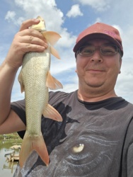 6df54ca2-a877-4c3c-a02f-65ca176d2872