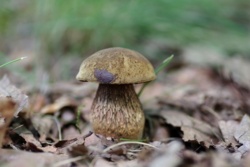 d7e15add-eb5e-435c-ac0d-d95dd7f9b36b