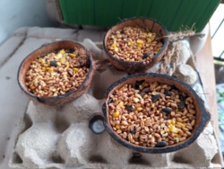 0244eb97-73fc-43e4-bcc8-d06b12924f0b