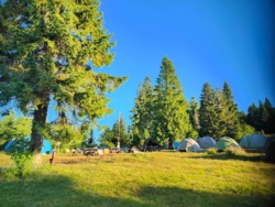 7baee9d5-e85a-41ad-928a-668c237fac38