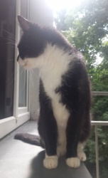 237e1622-b1cc-48f6-b492-8891d3c14b45