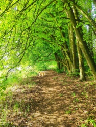 1d435c6c-7a09-4642-9b5f-63589efab818