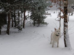 721a3501-ef97-4743-854d-bf5f42e01826