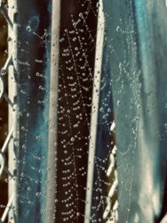 f7e3612c-c61b-4e1d-bb5d-48a79848fc48