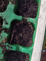 3ded5be2-99f7-4c77-ad62-aada6c7b3101