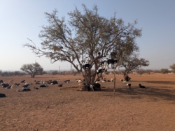 018ef0b6-973e-4ccd-98e4-1410b6975832