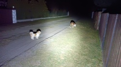 1dc658c3-0dea-4eac-a7fc-82d4bce2b4ba