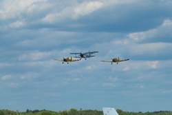 16d559d4-5bed-4588-976e-e08d5ad1ca33