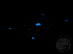 c9ad6309-37d5-4db8-a5fd-0289b11b153d