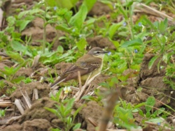 cbae90ff-8328-4687-afa3-76bba6e56046