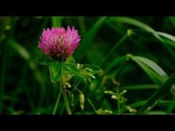 Wiosenna Muzyka Relaksacyjna Na Wyciszenie