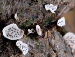 f73a6d1a-1505-45ae-9153-32397c61faf9