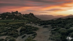 f32d1130-d87c-4213-972c-5ac51d1189a6